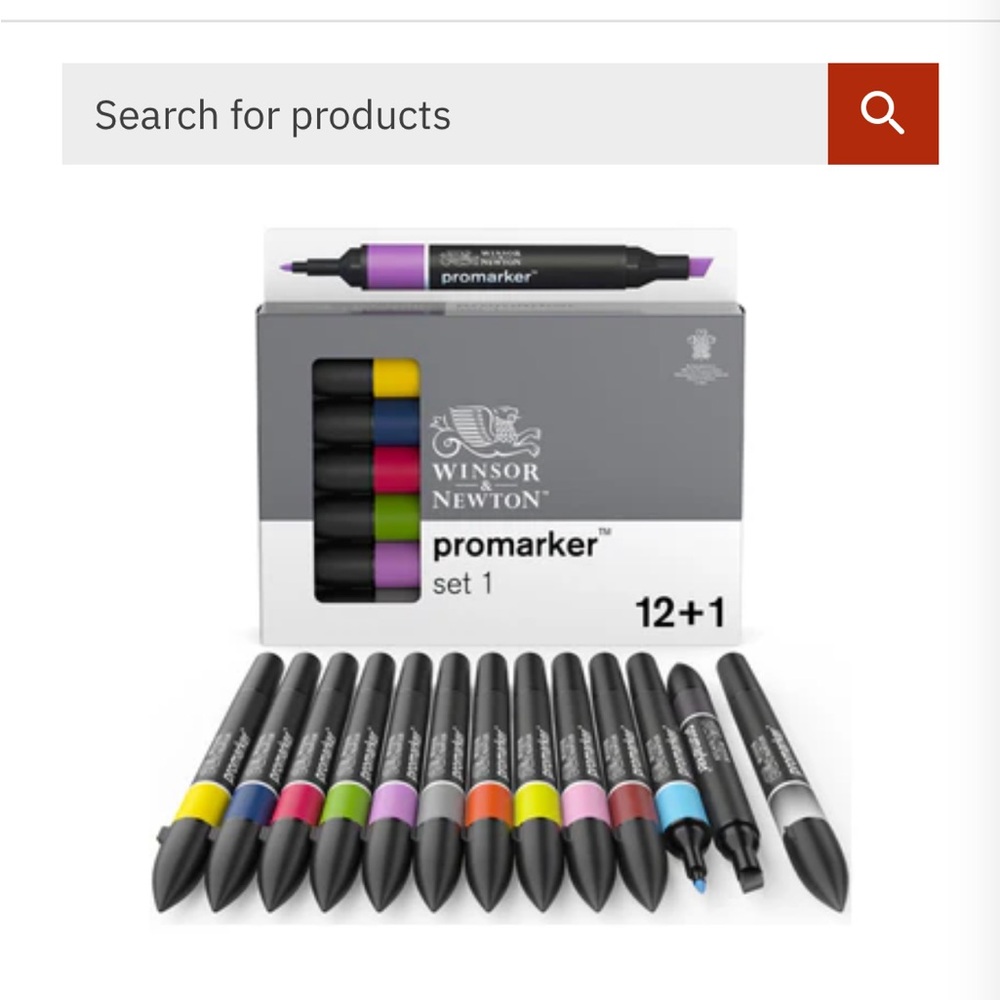 13-Piece Double-Tip Promarker Marker Set in Assorted Colors